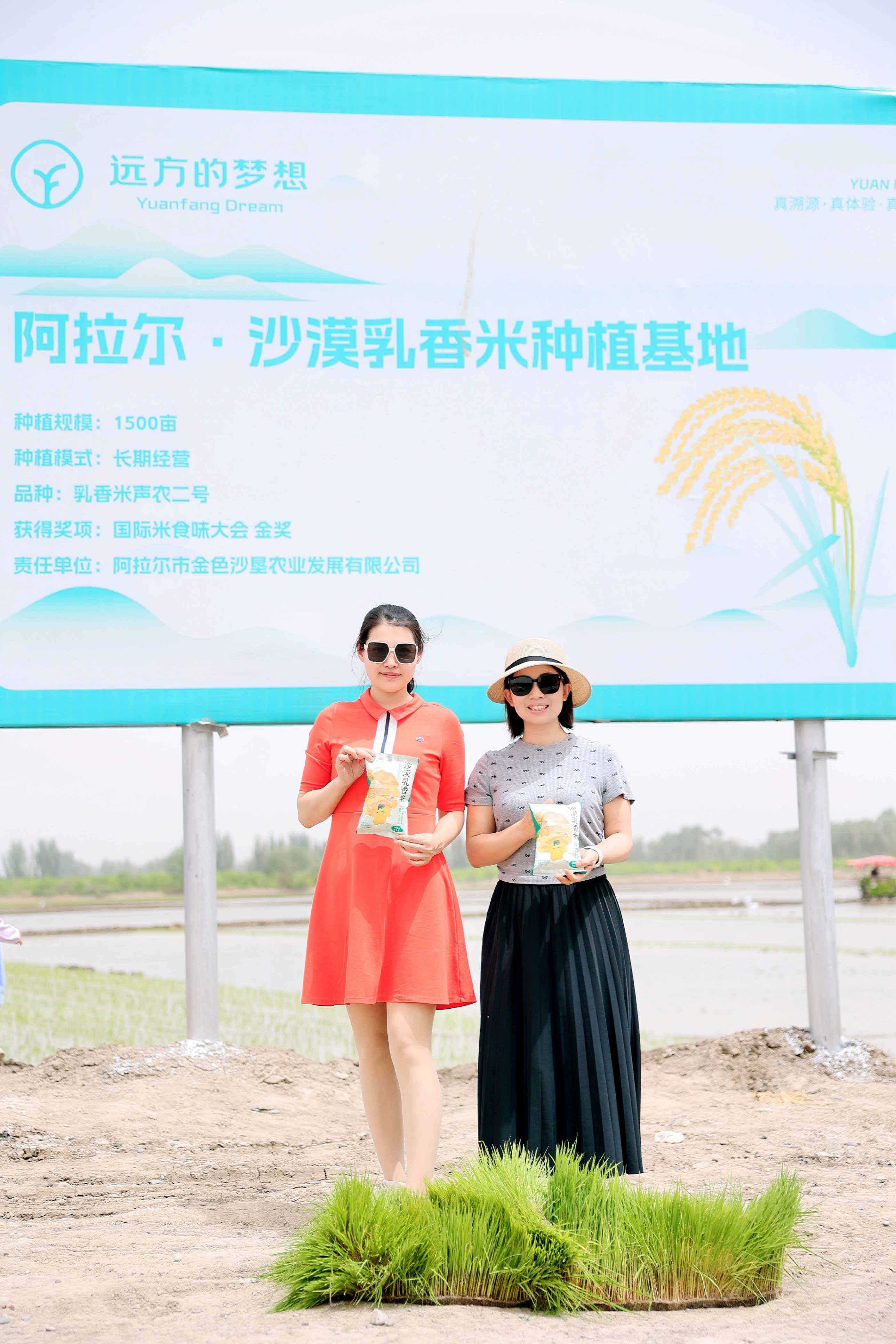 转发：能力和赛道，自我与未来的交汇点